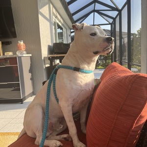 Fundraising Page: Katelyn Leets